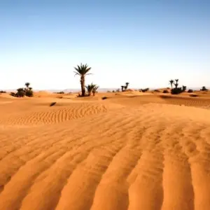 Explore 6-Day Private Morocco Tour: Casablanca to Marrakech, Exploring Chefchaouen, Fes, & Sahara for 6 days with Cultural Morocco Tours and discover unforgettable experiences - Photo 8