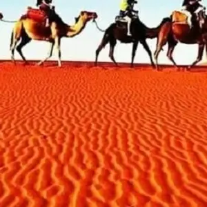 Explore Private tour: Casablanca to Marrakech via Chefchaouen, Fes, and Desert. for 7 days with Cultural Morocco Tours and discover unforgettable experiences - Photo 11