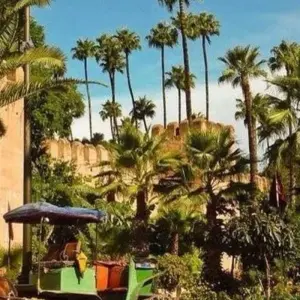 Explore 6-Day Private Morocco Tour: Casablanca to Marrakech, Exploring Chefchaouen, Fes, & Sahara for 6 days with Cultural Morocco Tours and discover unforgettable experiences - Photo 9