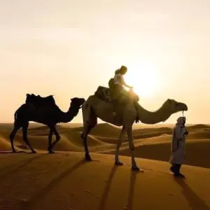 Explore Private 5 days  from Casablanca to Marrakech Visiting Chefchaouen, Fes & desert for 5 days with Cultural Morocco Tours and discover unforgettable experiences - Photo 11