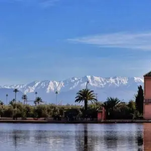 Explore Casablanca to Marrakech visiting Chefchaouen and Fes for 4 days with Cultural Morocco Tours and discover unforgettable experiences - Photo 5