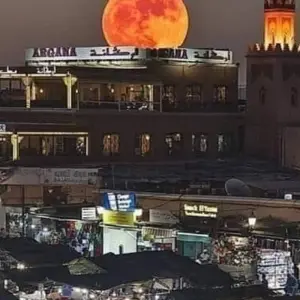 Explore Private  5-day Casablanca to Marrakech Via Fes and desert for 5 days with Cultural Morocco Tours and discover unforgettable experiences - Photo 3