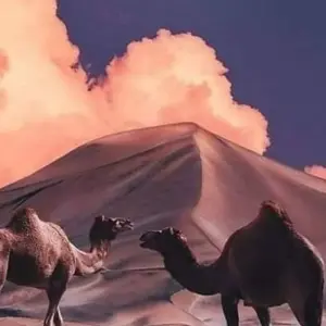 Explore Morocco cultural tour from Casablanca (Private 16-day) for 16 days with Cultural Morocco Tours and discover unforgettable experiences - Photo 4