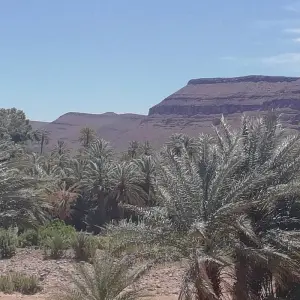 Explore 2 Days Sahara  tour from Marrakech to M'hamid desert for 2 days with Cultural Morocco Tours and discover unforgettable experiences - Photo 2