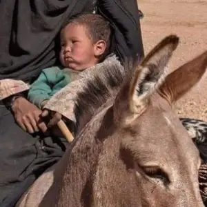 Explore Casablanca to Marrakech and Essaouira PRIVATE tour for 4 days with Cultural Morocco Tours and discover unforgettable experiences - Photo 2