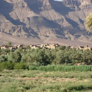 Explore From Casablanca discovering Marrakech, Desert, Fes & Chefchaouen (Private 8-Days) for 8 days with Cultural Morocco Tours and discover unforgettable experiences - Photo 5