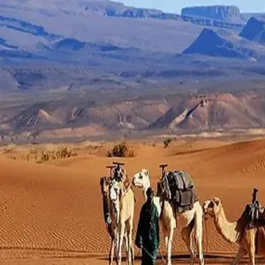 Explore 4 days Marrakech & desert tour from Casablanca for 4 days with Cultural Morocco Tours and discover unforgettable experiences - Photo 5