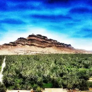 Explore From Casablanca discovering Marrakech, Desert, Fes & Chefchaouen (Private 8-Days) for 8 days with Cultural Morocco Tours and discover unforgettable experiences - Photo 7