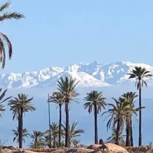Explore From Casablanca discovering Marrakech, Desert, Fes & Chefchaouen (Private 8-Days) for 8 days with Cultural Morocco Tours and discover unforgettable experiences - Photo 9