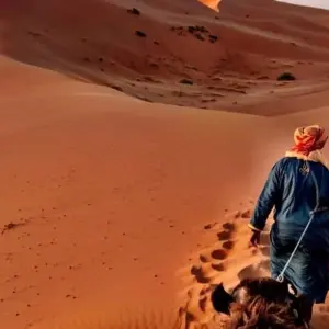 Explore From Casablanca discovering Marrakech, Desert, Fes & Chefchaouen (Private 8-Days) for 8 days with Cultural Morocco Tours and discover unforgettable experiences - Photo 10