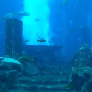 Explore Dazzling Dubai Trip for 5 days with Culture Holidays Private Limited and discover unforgettable experiences - Photo 3