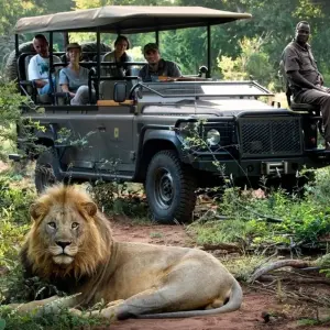 Explore SOUTH AFRICA DELIGHTS for 5 days with Culture Holidays Private Limited and discover unforgettable experiences - Photo 3