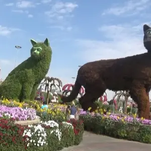 Explore Dazzling Dubai Trip for 5 days with Culture Holidays Private Limited and discover unforgettable experiences - Photo 11