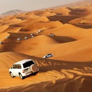 Explore ARABIAN DELIGHTS, Dubai for 8 days with Culture Holidays Private Limited and discover unforgettable experiences - Photo 7