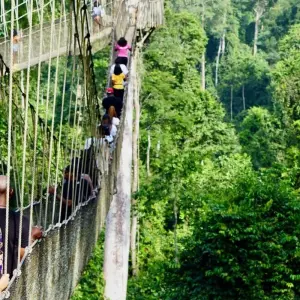 Explore CULTURAL GHANA TRIP for 8 days with Culture Holidays Private Limited and discover unforgettable experiences - Photo 2