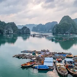 Explore VIBRANT VIETNAM & CLASSIC CAMBODIA for 12 days with Culture Holidays Private Limited and discover unforgettable experiences - Photo 5