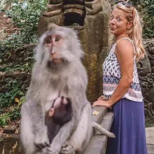 Explore Spectacular Bali Luxtrip for 6 days with Culture Holidays Private Limited and discover unforgettable experiences - Photo 7