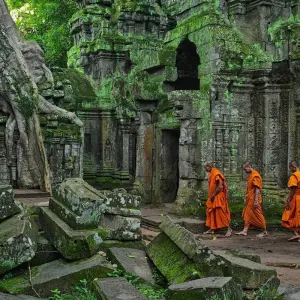Explore VIBRANT VIETNAM & CLASSIC CAMBODIA for 12 days with Culture Holidays Private Limited and discover unforgettable experiences - Photo 7