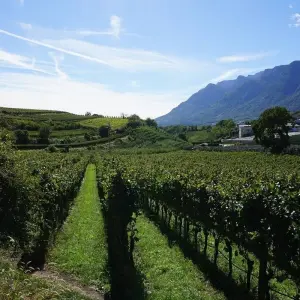 Explore Cycling the Majestic Dolomites - Cortina to Bolzano - Classic Self Guided for 8 days with Cycle Europe and discover unforgettable experiences - Photo 4