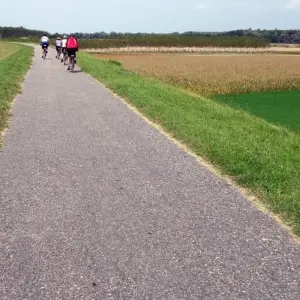 Explore Taste of Italy, Emilia-Romagna Culinary Cycling - Classic Self Guided 8day for 8 days with Cycle Europe and discover unforgettable experiences - Photo 7