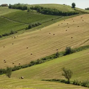 Explore Bicycle Romagna, the Heartland of Italy's Homemade Pasta - Classic Self Guided for 7 days with Cycle Europe and discover unforgettable experiences - Photo 7