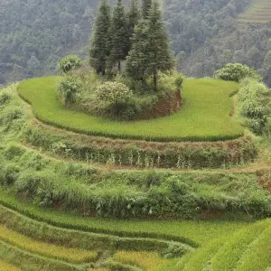Explore RICE TERRACES AND KARSTS for 7 days with Custom Vietnam Travel and discover unforgettable experiences - Photo 2