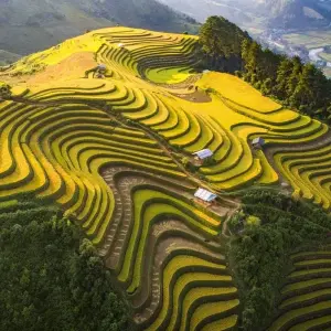 Explore SAPA & MU CANG CHAI RICE TERRACES for 5 days with Custom Vietnam Travel and discover unforgettable experiences - Photo 5