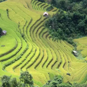 Explore RICE TERRACES AND KARSTS for 7 days with Custom Vietnam Travel and discover unforgettable experiences - Photo 3