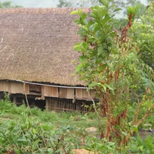 Explore RICE TERRACES AND KARSTS for 7 days with Custom Vietnam Travel and discover unforgettable experiences - Photo 4