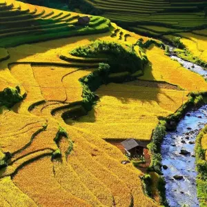 Explore MU CANG CHAI & HALONG BAY for 6 days with Custom Vietnam Travel and discover unforgettable experiences - Photo 9