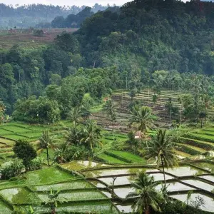 Explore Bali, Lombok and the Gili Islands for 12 days with Culture Trip and discover unforgettable experiences - Photo 2