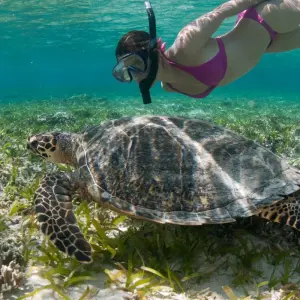 Explore Bali, Lombok and the Gili Islands for 12 days with Culture Trip and discover unforgettable experiences - Photo 5