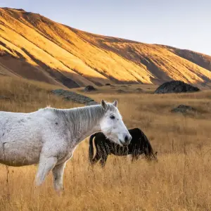 Explore Georgia and the Caucasus for 9 days with Culture Trip and discover unforgettable experiences - Photo 8