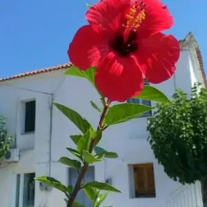 Explore Messinia Coastal Tour Self Guided for 7 days with Cycle Green Tours and discover unforgettable experiences - Photo 2