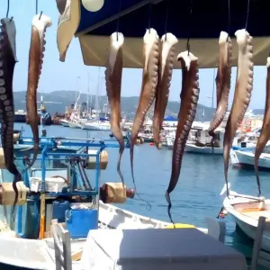 Explore Messinia Coastal Tour Self Guided for 7 days with Cycle Green Tours and discover unforgettable experiences - Photo 3