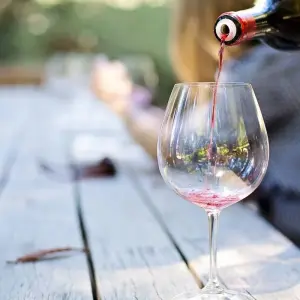 Explore WINE TOUR IN CZECHIA with visit of Prague for 7 days with Czechia-Tours and discover unforgettable experiences - Photo 11