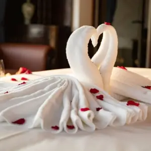 Explore 11 Days Discovery Vietnam for 11 days with DGB Travel And Event and discover unforgettable experiences - Photo 4