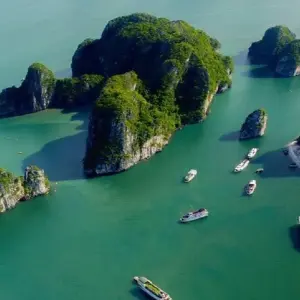 Explore 11 Days Discovery Vietnam for 11 days with DGB Travel And Event and discover unforgettable experiences - Photo 9