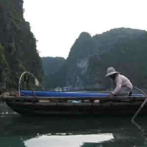 Explore 7 Days Discovery North Of Vietnam for 7 days with DGB Travel And Event and discover unforgettable experiences - Photo 11