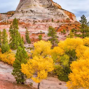 Explore Western Deserts for 3 days with DERTOUR and discover unforgettable experiences - Photo 7