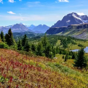 Explore Sea to Sky (from Calgary to Vancouver) for 20 days with DERTOUR and discover unforgettable experiences - Photo 5