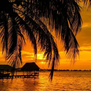 Explore Panama on your own - drop-off in David and return flight to Panama City for 10 days with DERTOUR and discover unforgettable experiences - Photo 10