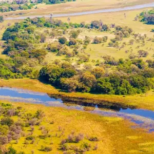 Explore Botswana Kaleidoscope from Victoria Falls for 11 days with DERTOUR and discover unforgettable experiences - Photo 3