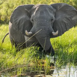 Explore Botswana Kaleidoscope from Victoria Falls for 11 days with DERTOUR and discover unforgettable experiences - Photo 8