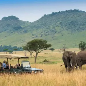 Explore 3 Days Masai Mara Tented Camping Safari for 3 days with Dallago Tours Kenya-Tanzania and discover unforgettable experiences - Photo 3