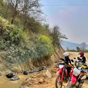 Explore Exciting Phnom Penh Dirt Bike Tour to Kep & Preah Monivong National Park - 3 Days for 3 days with DNQ Travel and discover unforgettable experiences - Photo 8