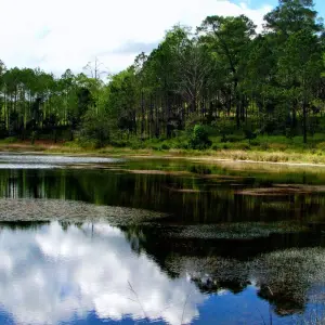 Explore Incredible Cambodia Dirt Bike Tour from Phnom Penh to Koh Kong & Sihanoukville - 6 Days for 6 days with DNQ Travel and discover unforgettable experiences - Photo 10