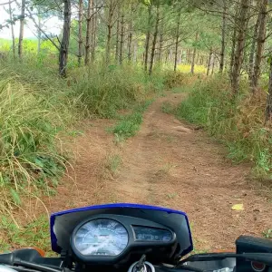 Explore 12-Day Legendary Saigon to Hanoi Motorbike Tour via Ho Chi Minh Trails and DMZ for 12 days with DNQ Travel and discover unforgettable experiences - Photo 5