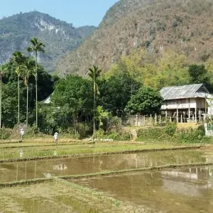 Explore Vietnam Motorcycle Tour to Pu Luong, Mai Chau, Tam Coc, Hoa Lu for 4 days with DNQ Travel and discover unforgettable experiences - Photo 3