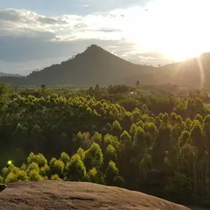 Explore Venturing Vietnam Motorbike Tour on Ho Chi Minh Trail via Central Highlands for 15 days with DNQ Travel and discover unforgettable experiences - Photo 2